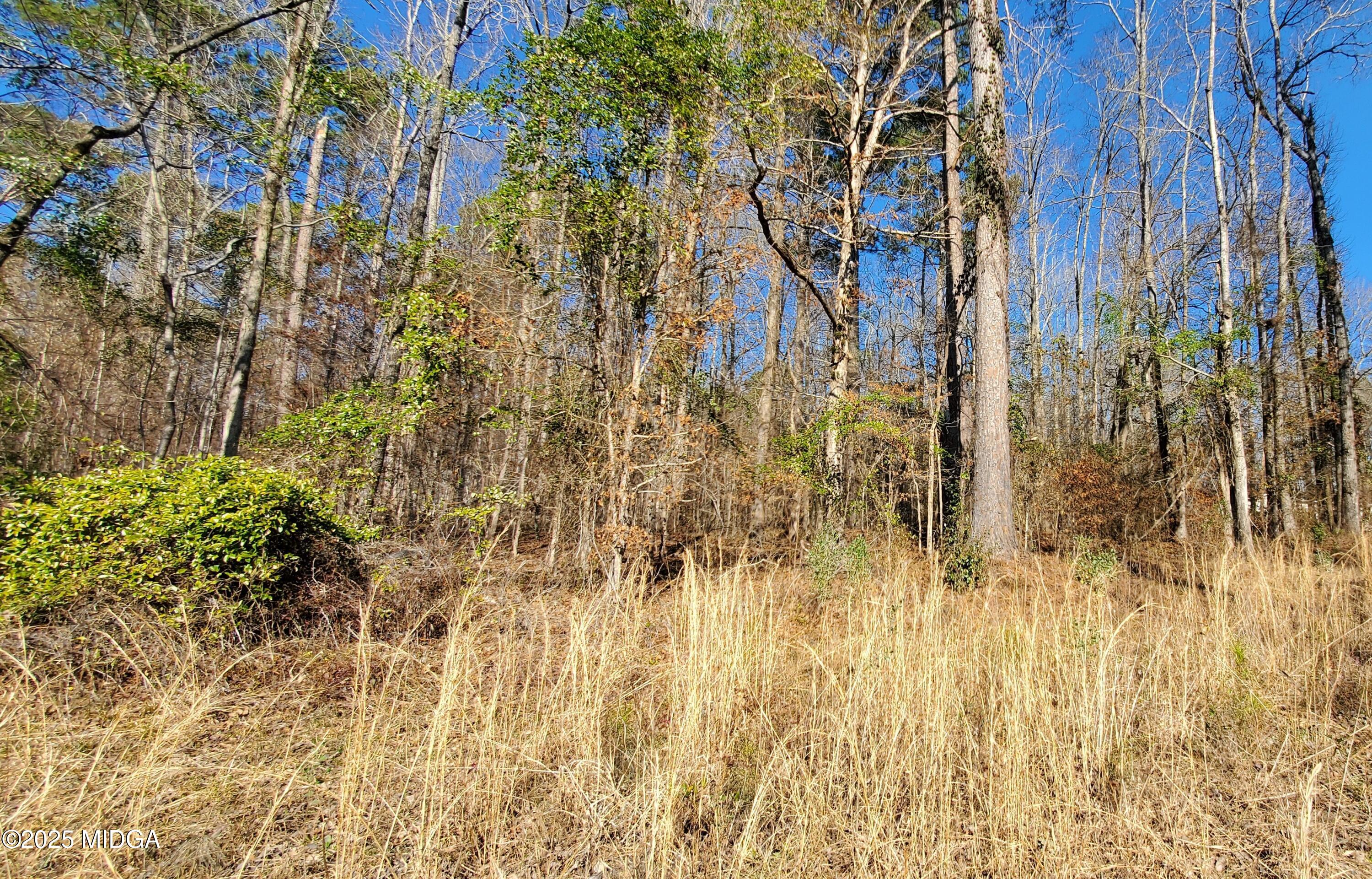 0 Southern Shores Road Jackson, GA 30233 - Photo 11 of 15 a view of a yard of the building