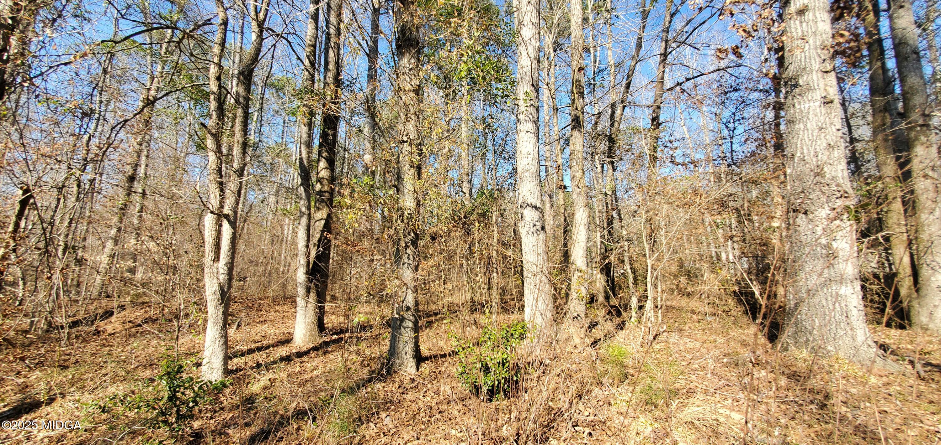 0 Southern Shores Road Jackson, GA 30233 - Photo 12 of 15 a view of a pathway of a yard