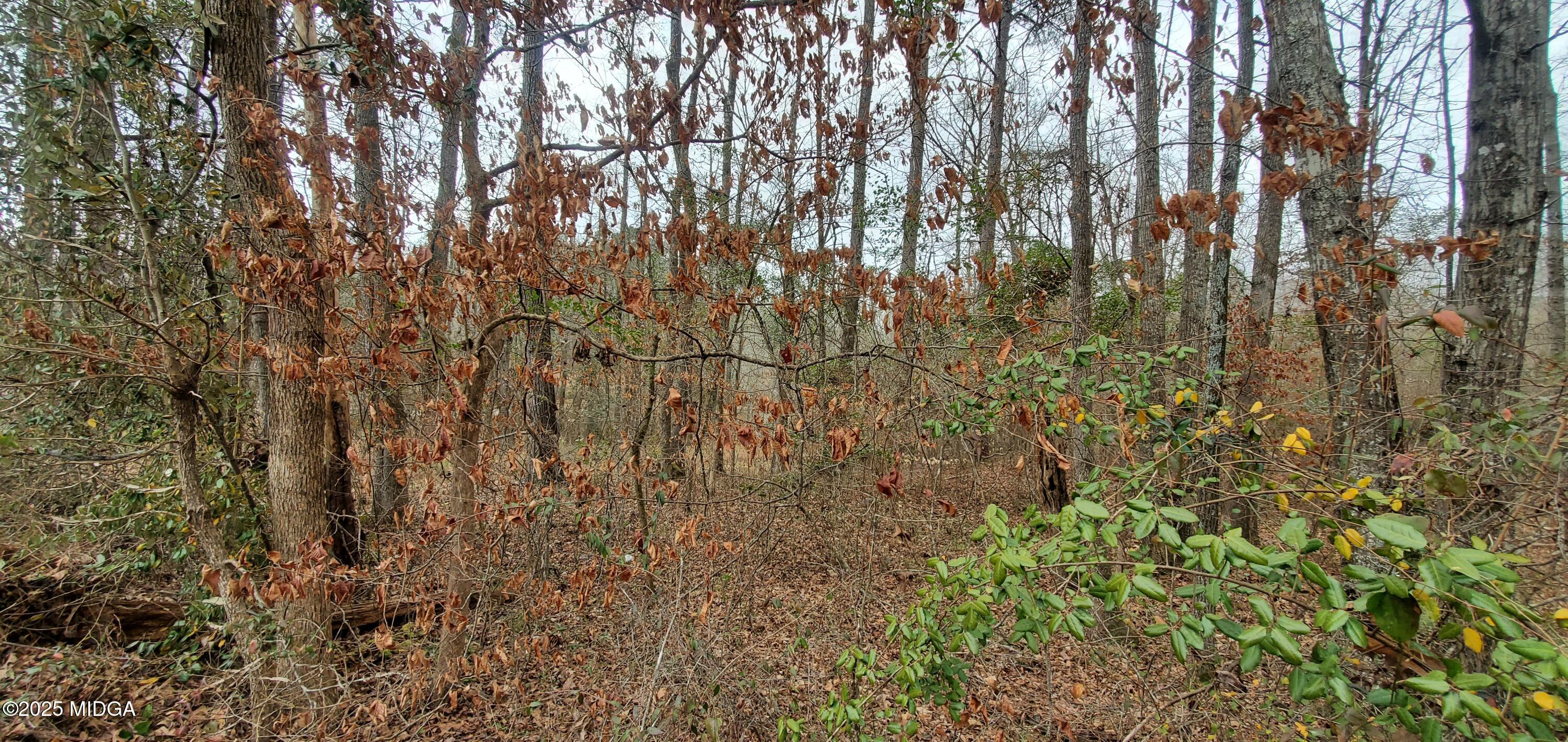 0 Southern Shores Road Jackson, GA 30233 - Photo 13 of 15 a view of forest