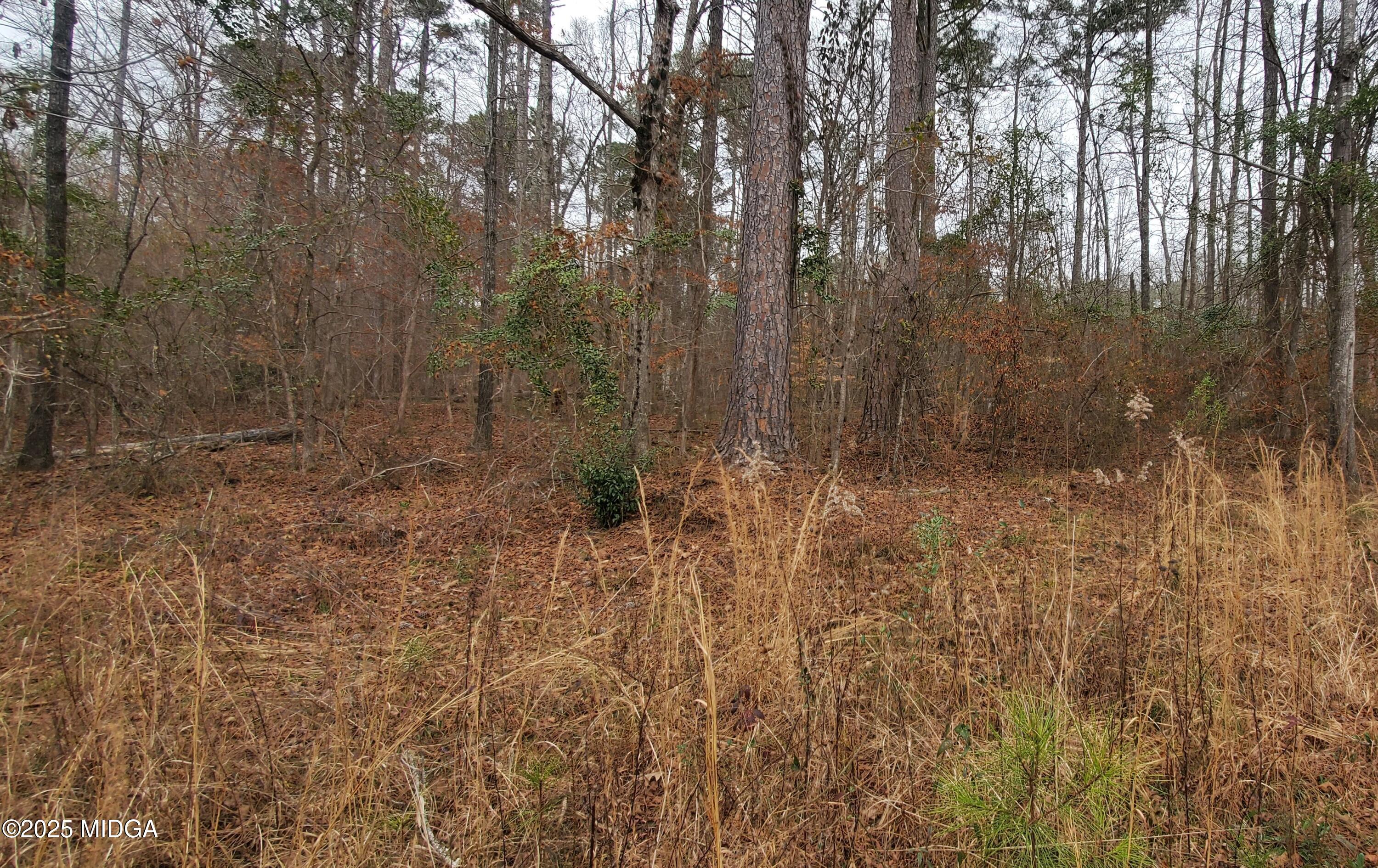 0 Southern Shores Road Jackson, GA 30233 - Photo 15 of 15 a view of a yard