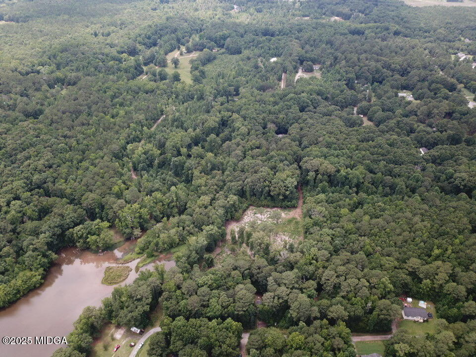 0 Southern Shores Road Jackson, GA 30233 - Photo 4 of 15 a view of a forest with a street