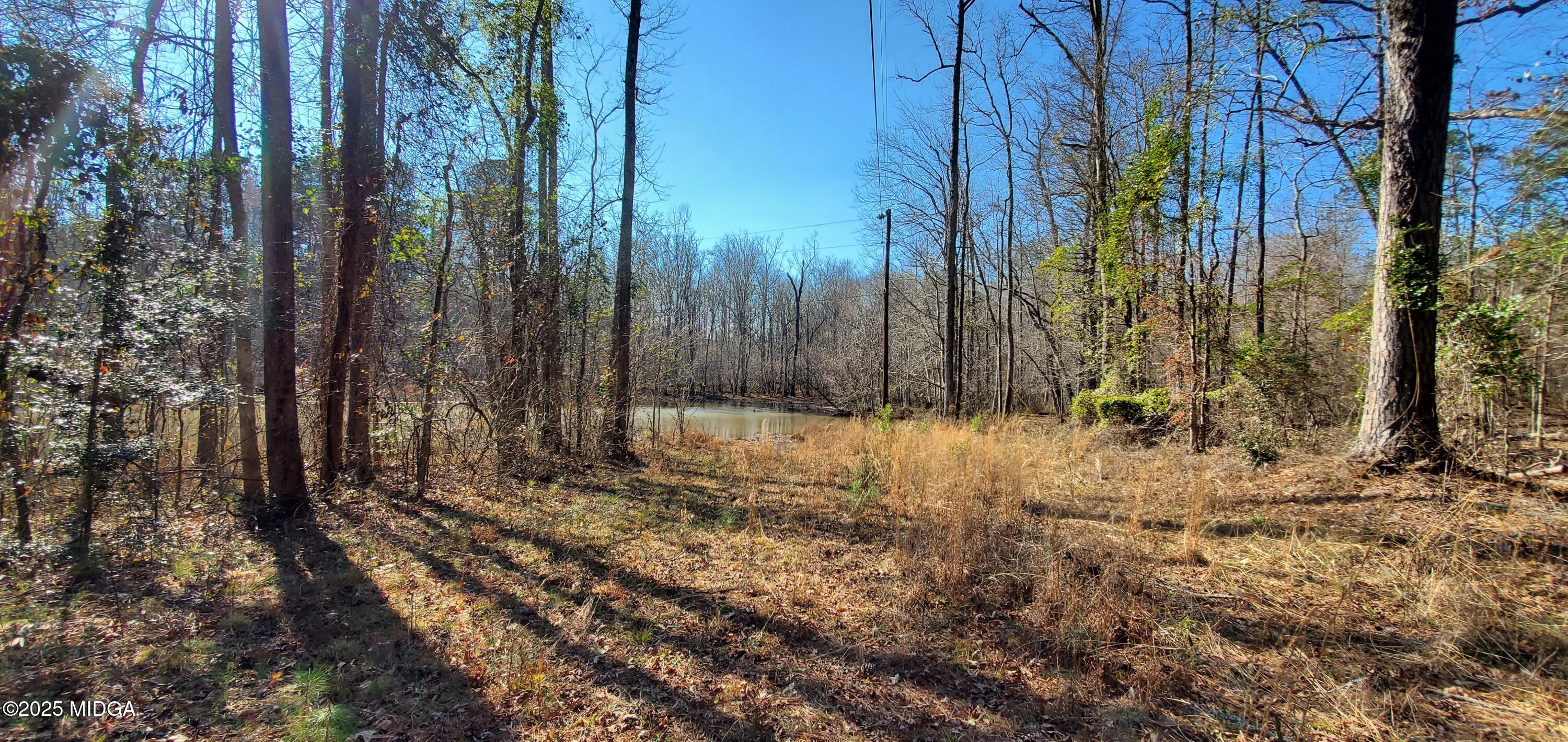 0 Southern Shores Road Jackson, GA 30233 - Photo 7 of 15 a view of backyard with green space