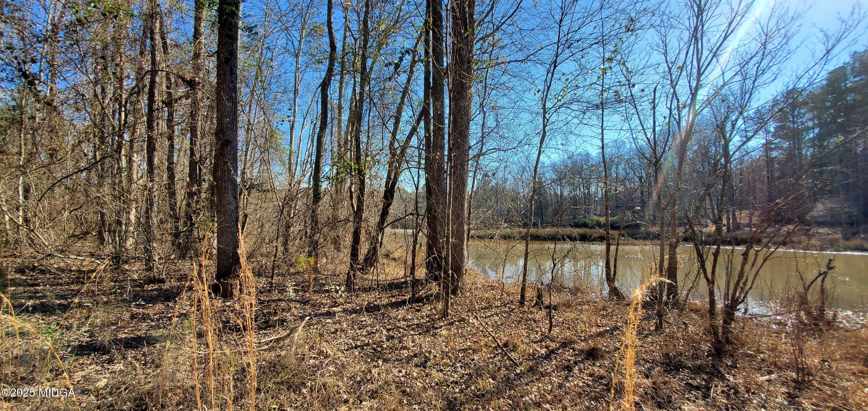 0 Southern Shores Road Jackson, GA 30233 - Photo 10 of 15 a lake with trees in the background