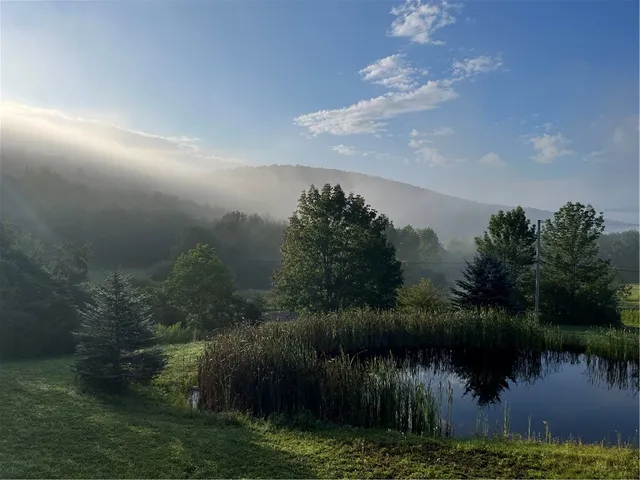 $699,000 | 2133 Close Hollow Road, Andes, NY 13731