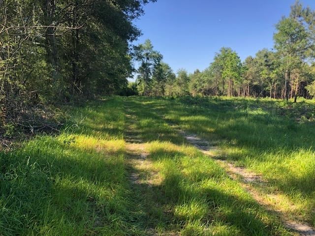 2-lot Dyess Dairy Road Opp, AL 36467 - Photo 1 of 12 Gallery Image 1