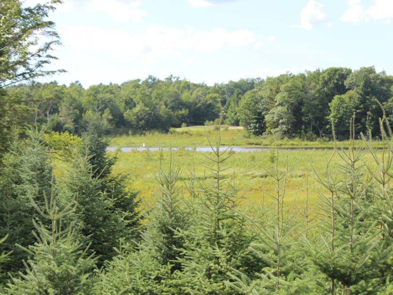 On Grundy Point Road, Unit LOT 2 Minocqua, WI 54548 - Photo 11 of 25 Gallery Image 11