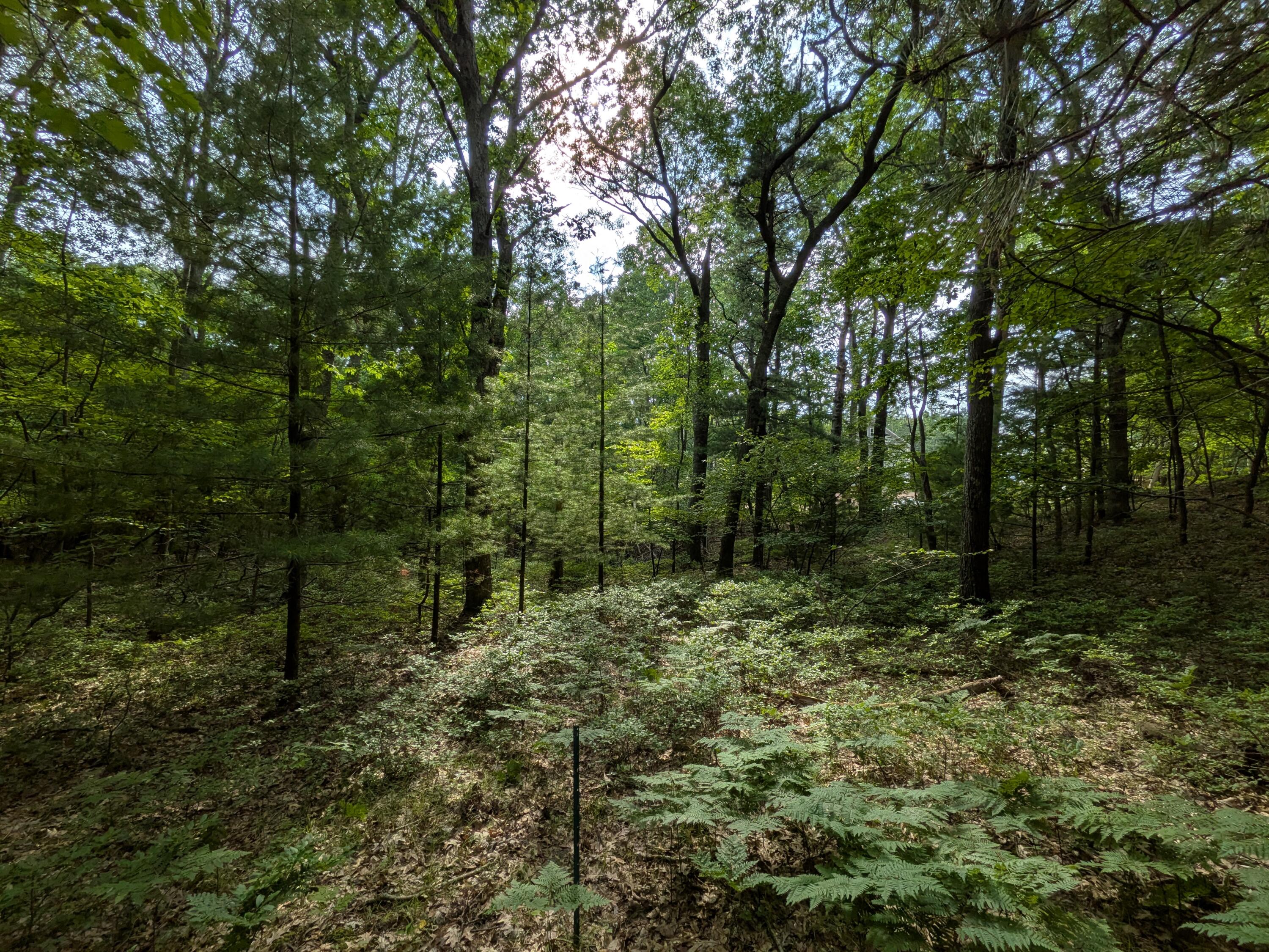 North Silver Ridge Road Mears, MI 49436 - Photo 5 of 11 PXL_20260705_215957121