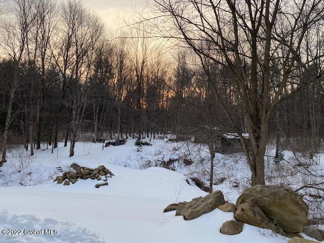 461 Selfridge Road Moreau, NY 12831 - Photo 46 of 50 48