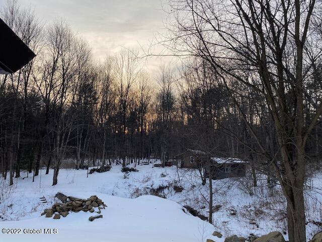 461 Selfridge Road Moreau, NY 12831 - Photo 47 of 50 49