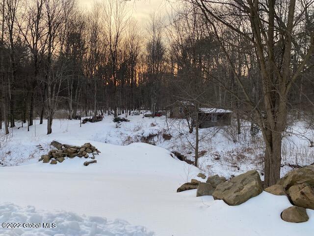 461 Selfridge Road Moreau, NY 12831 - Photo 48 of 50 50