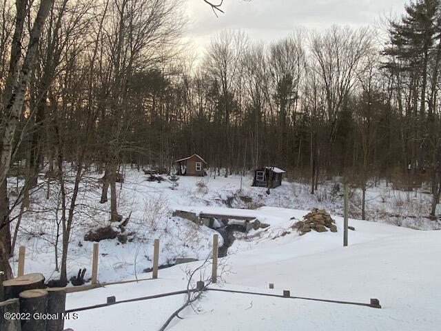 461 Selfridge Road Moreau, NY 12831 - Photo 49 of 50 52