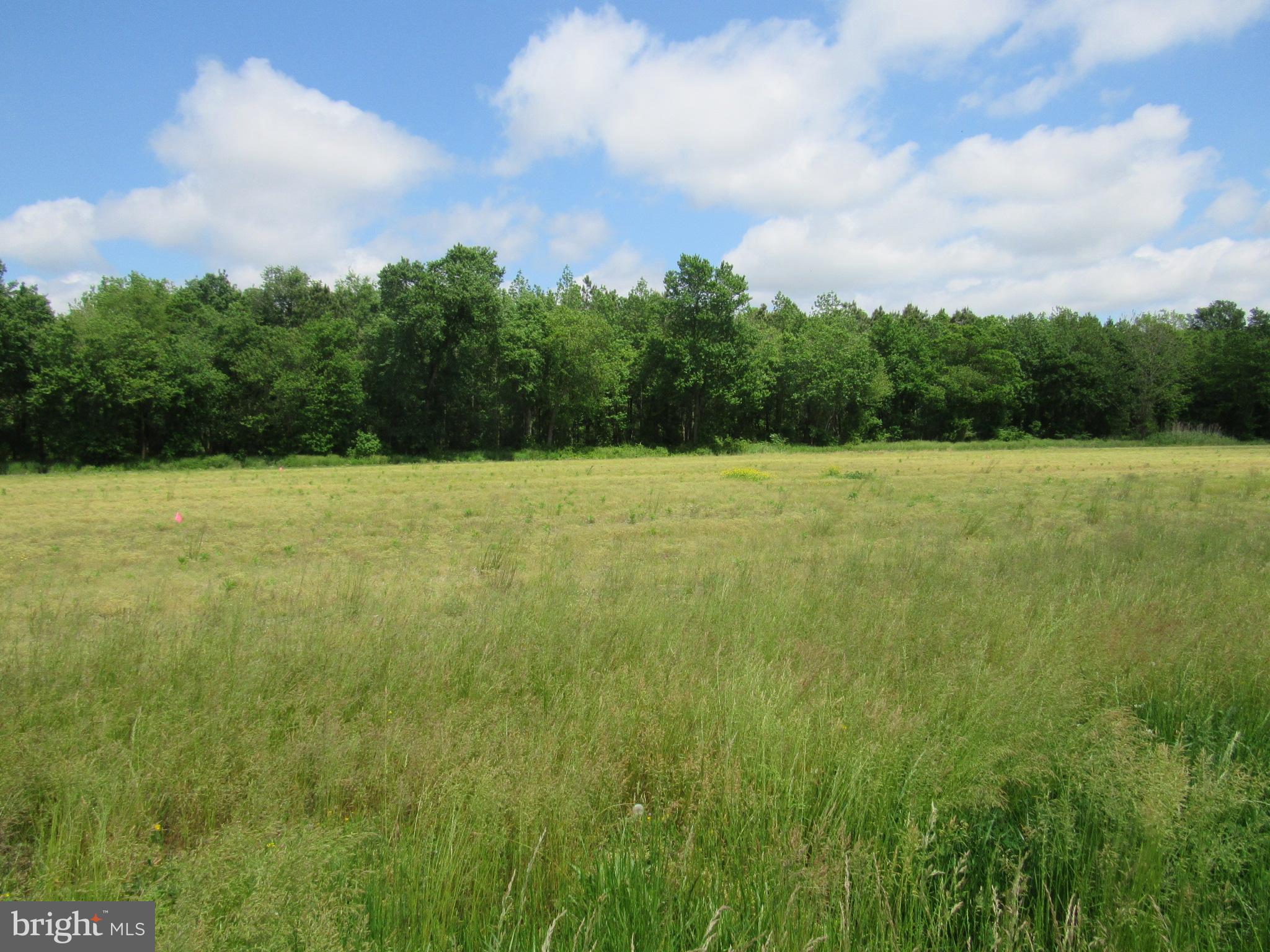 Lot 1 Old Stage Road Laurel, DE 19956 - Photo 1 of 4 Gallery Image 1