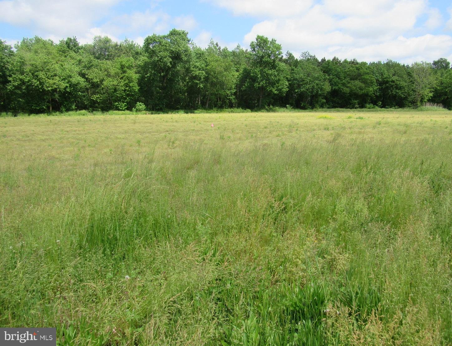 Lot 1 Old Stage Road Laurel, DE 19956 - Photo 2 of 4 Gallery Image 2