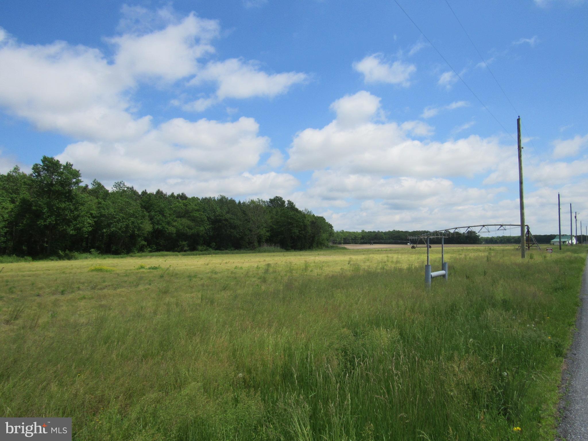 Lot 1 Old Stage Road Laurel, DE 19956 - Photo 3 of 4 Gallery Image 3