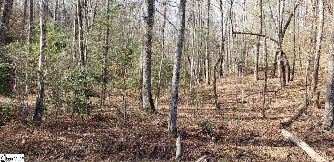 0 Wonderland Range Road Cleveland, SC 29635 - Photo 3 of 4 Gallery Image 3