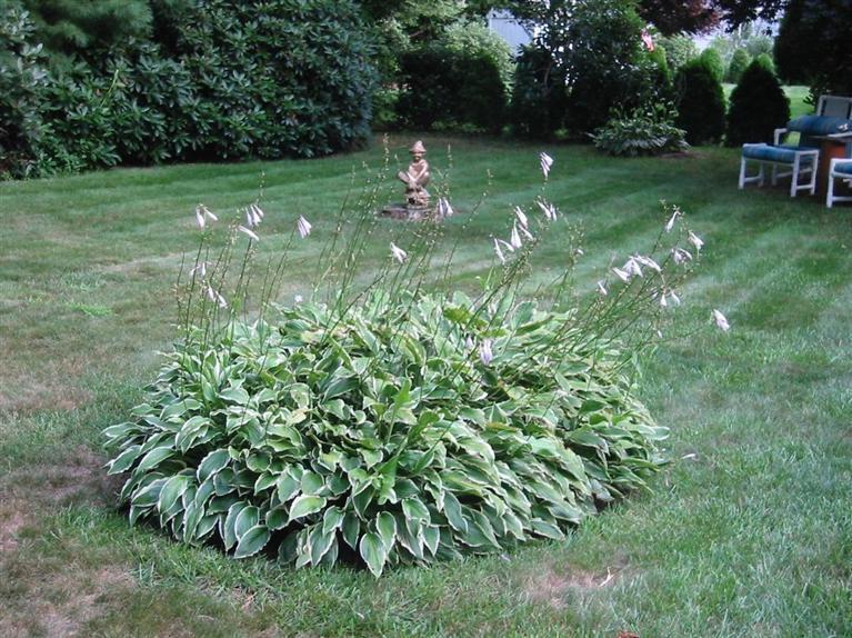 452 Prince Hinckley Road Centerville, MA 02632 - Photo 31 of 35 Additional Photo