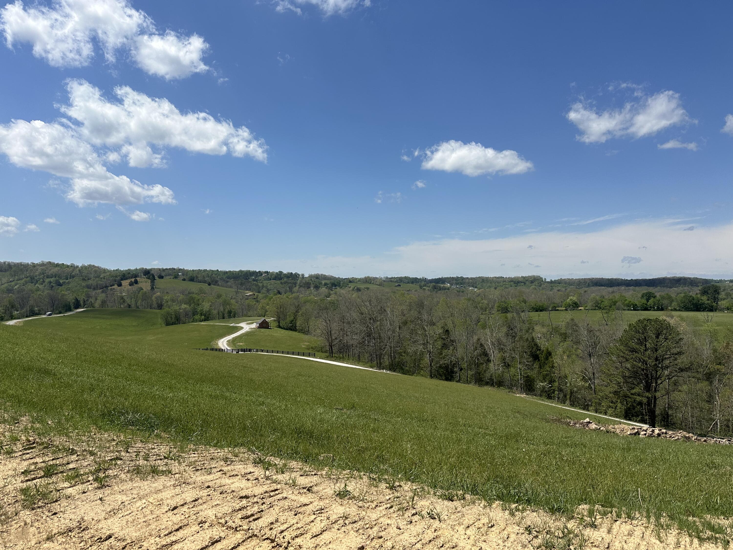 Lot 2 Baldwin Road McKee, KY 40447 - Photo 9 of 45 IMG_8525