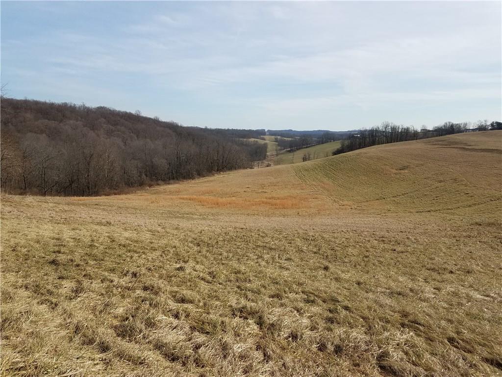0 Cedar Grove Road Avella, PA 15021 - Photo 3 of 11