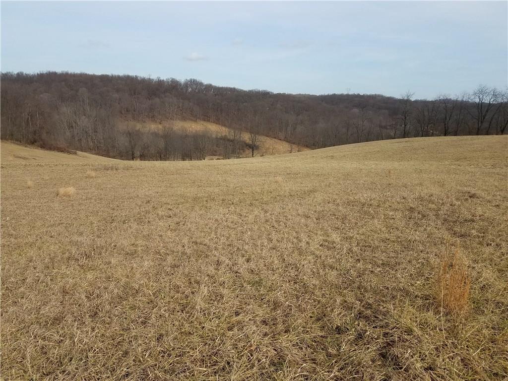 0 Cedar Grove Road Avella, PA 15021 - Photo 4 of 11
