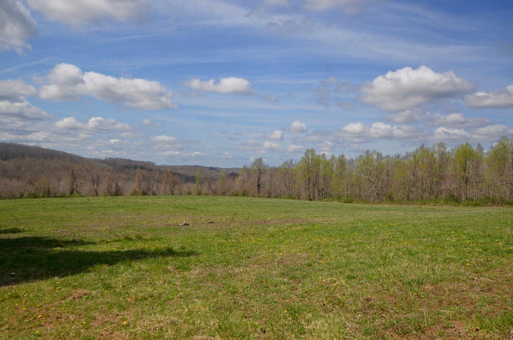 796 Luke Helms Road Meadows Of Dan, VA 24120 - Photo 7 of 24 Gallery Image 7