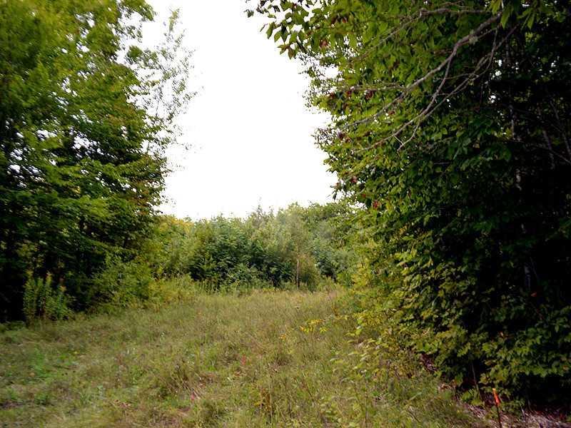 Lot 5 Baker Ridge Road Danforth, ME 04424 - Photo 20 of 21 Land.