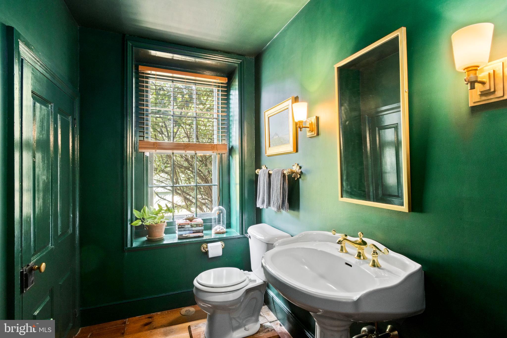 3296 Lower Mountain Road Furlong, PA 18925 - Photo 18 of 43 Powder Room