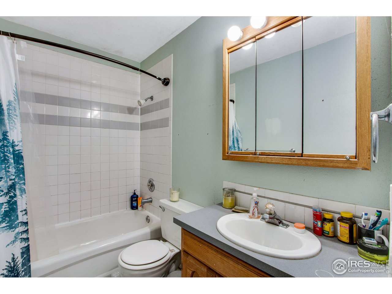 821 Rocky Road Fort Collins, CO 80521 - Photo 7 of 14 Gallery Image 7