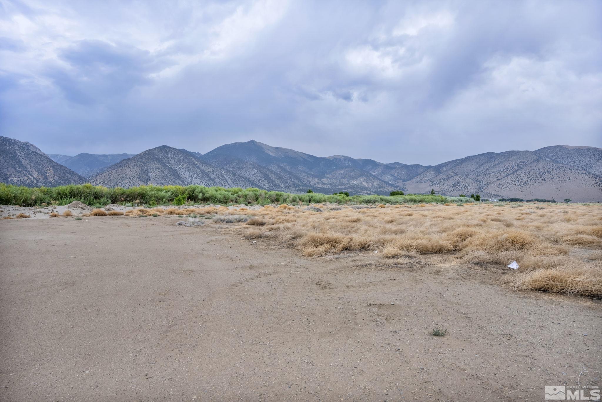 687 Upper Colony Road Wellington, NV 89444 - Photo 19 of 40 Photo 19