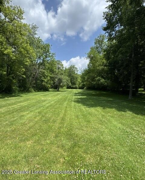 11157 West Jolly Road Lansing, MI 48911 - Photo 12 of 15 3