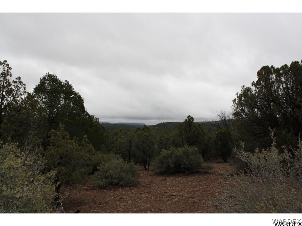 4433 North Diamond M Ranch Road Kingman, AZ 86401 - Photo 10 of 26 Gallery Image 10