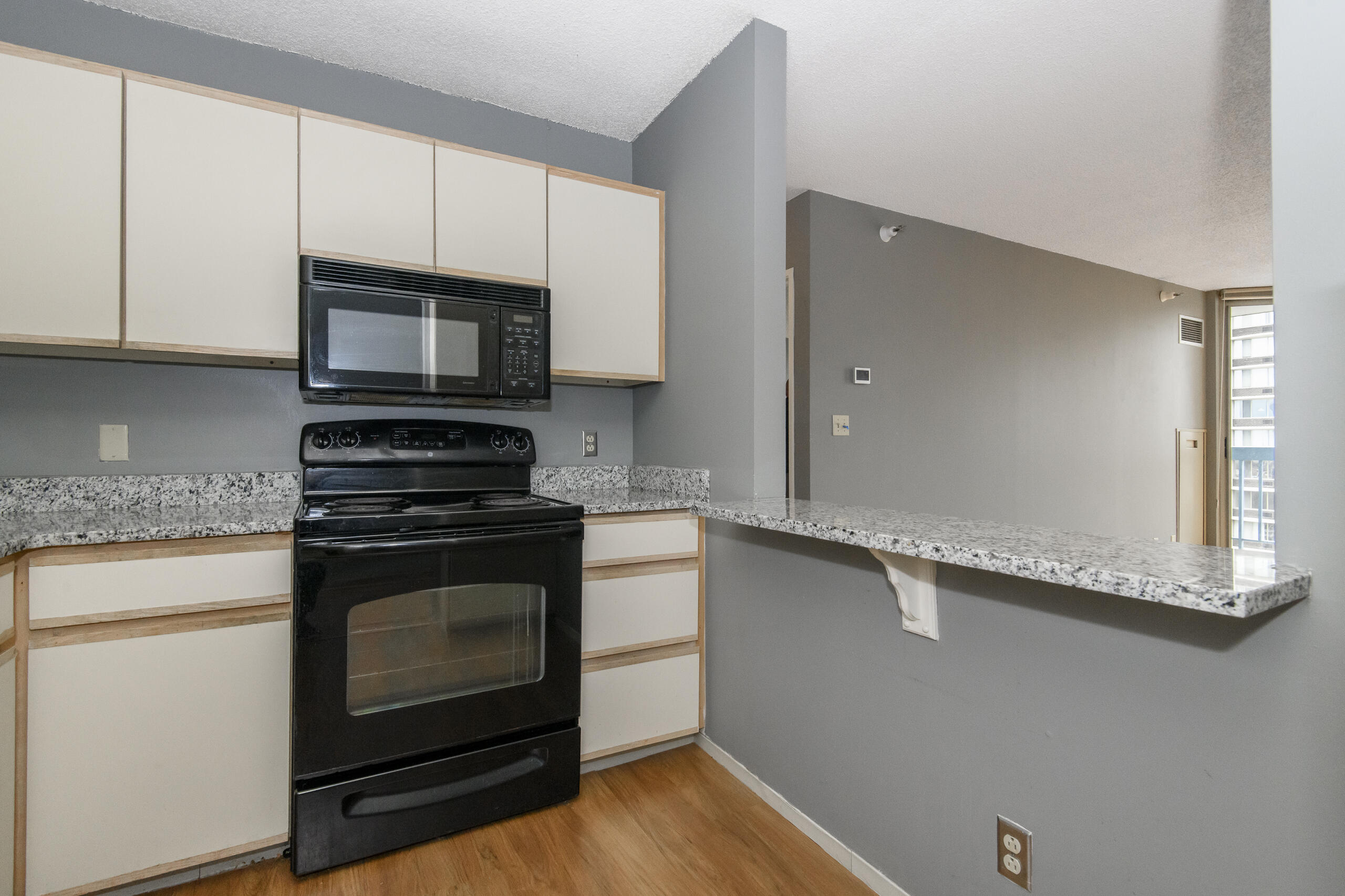 1660 North Prospect Avenue, Unit 1406 Milwaukee, WI 53202 - Photo 12 of 31 Kitchen