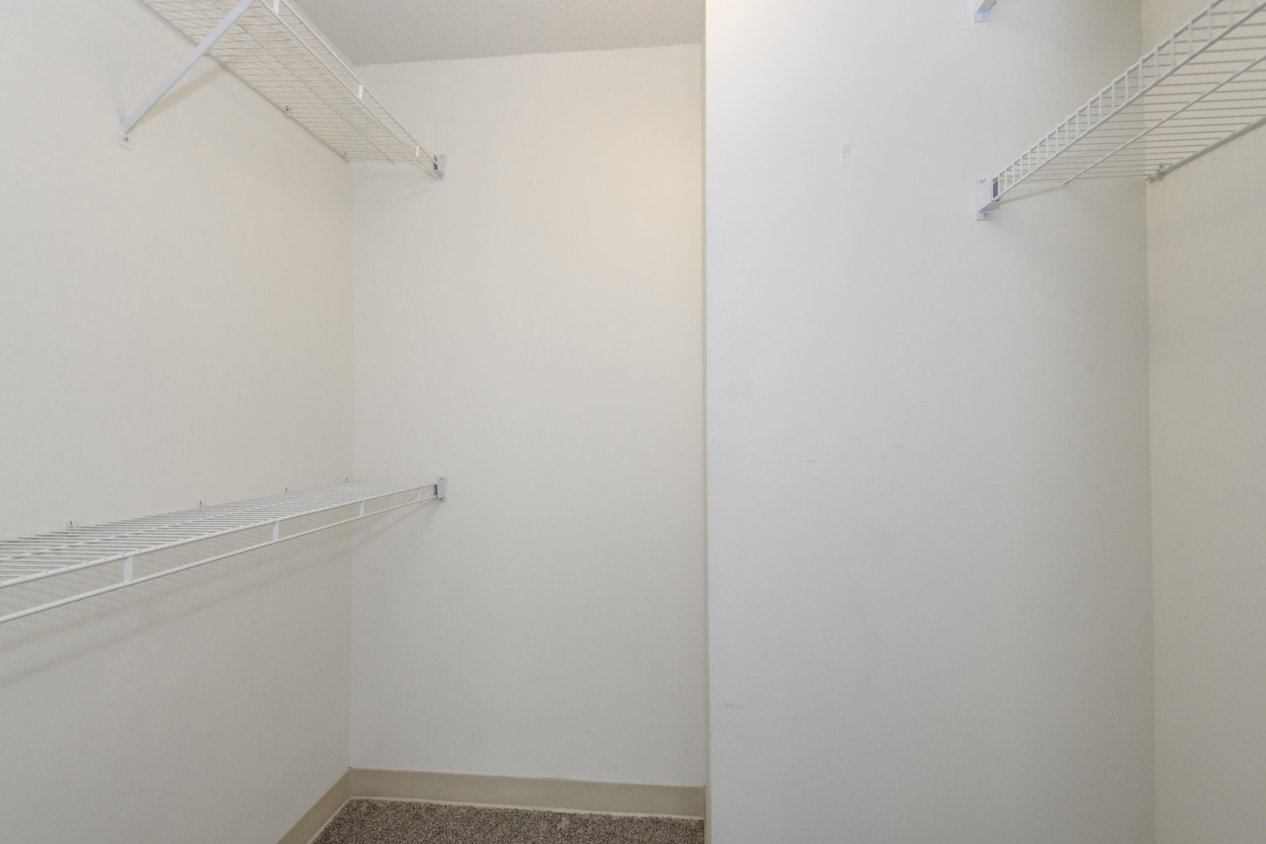 1660 North Prospect Avenue, Unit 1406 Milwaukee, WI 53202 - Photo 17 of 31 Walk in Closet