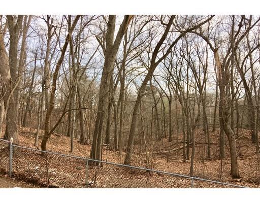155 Methuen Street Springfield, MA 01119 - Photo 23 of 24 a backyard of a house with a large tree