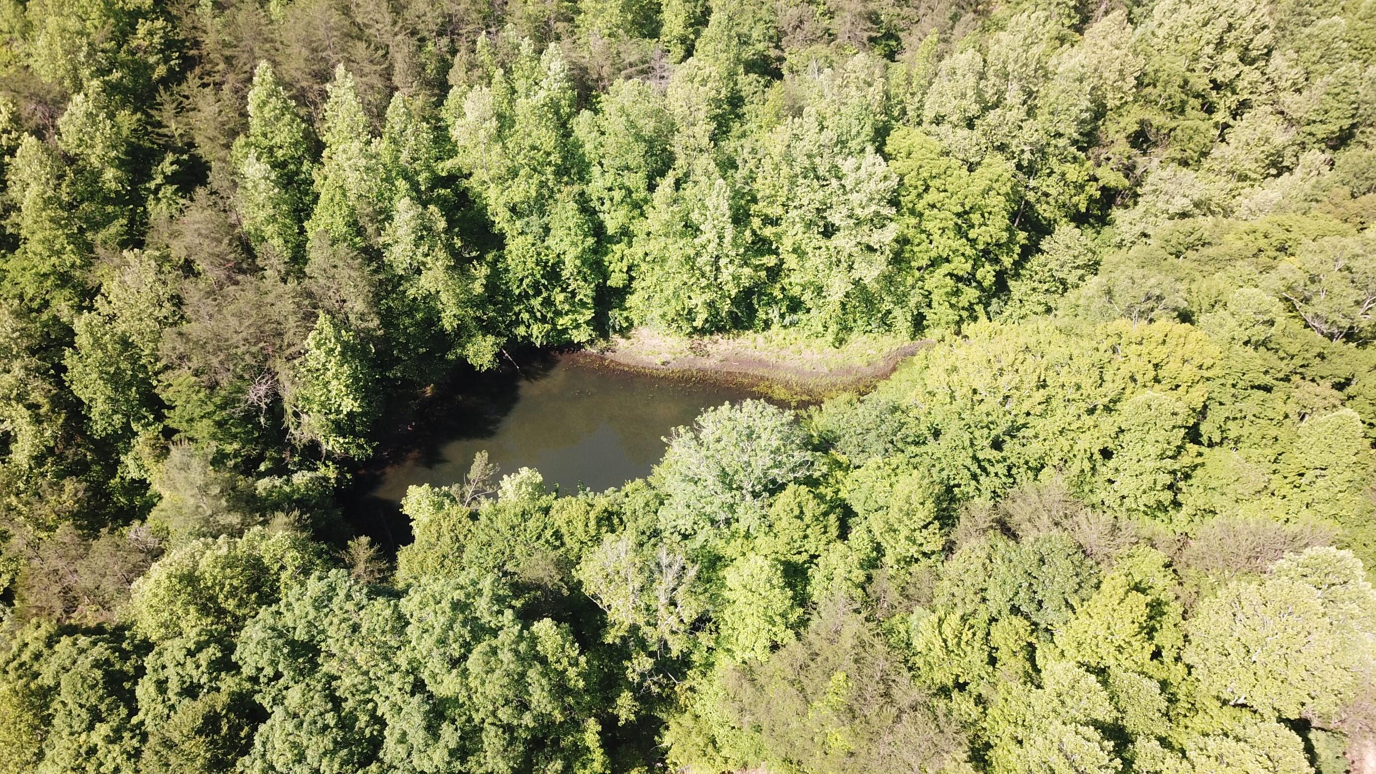 0 Emanuel Hollow Road Gray, KY 40734 - Photo 26 of 29 DJI_0016 (Custom)