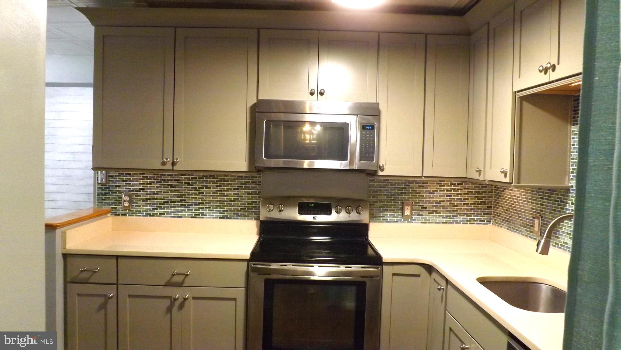 21 Louise Court Rising Sun, MD 21911 - Photo 9 of 30 Kitchen