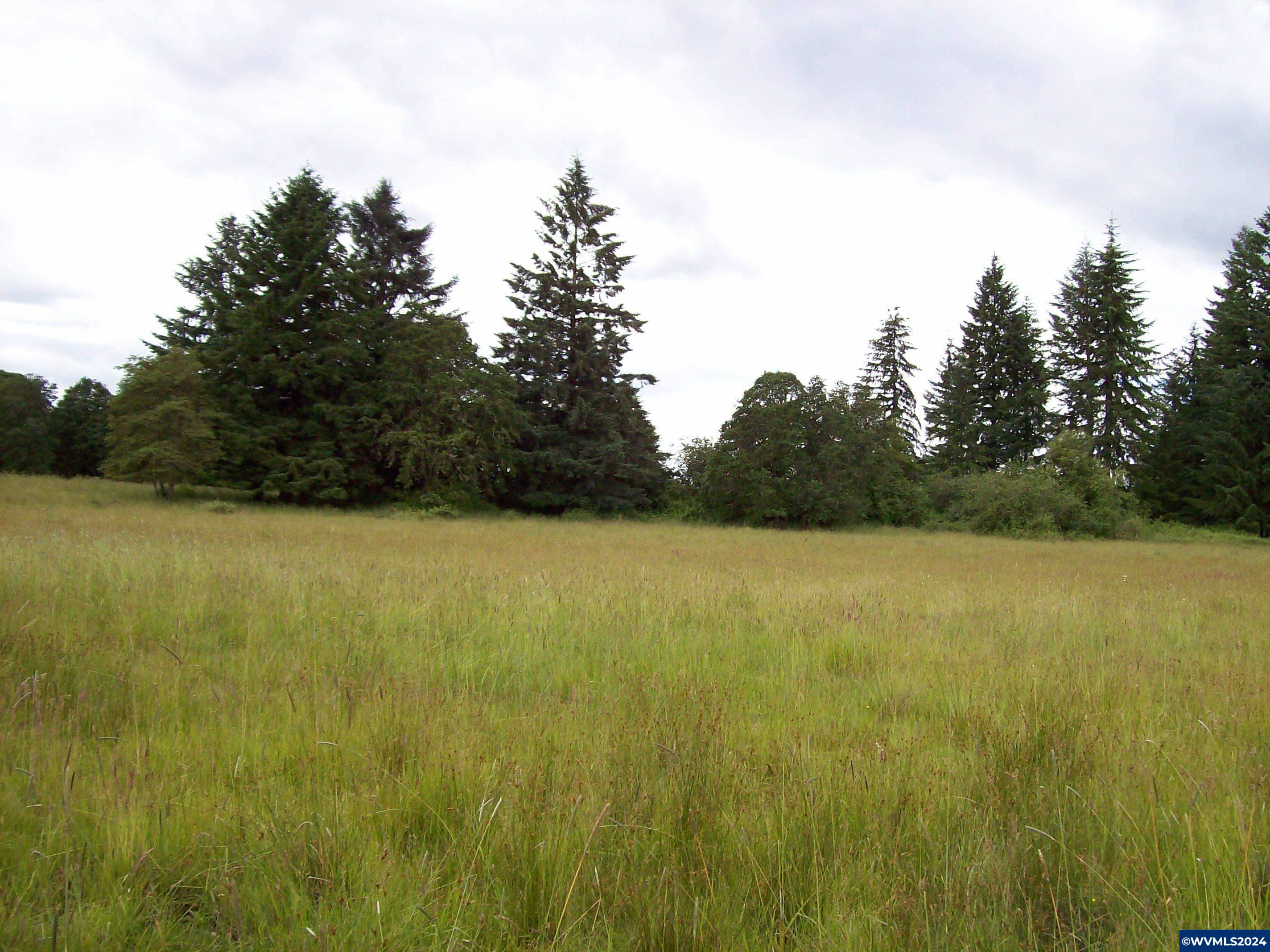 30209 Fairview Road Lebanon, OR 97355 - Photo 23 of 32
