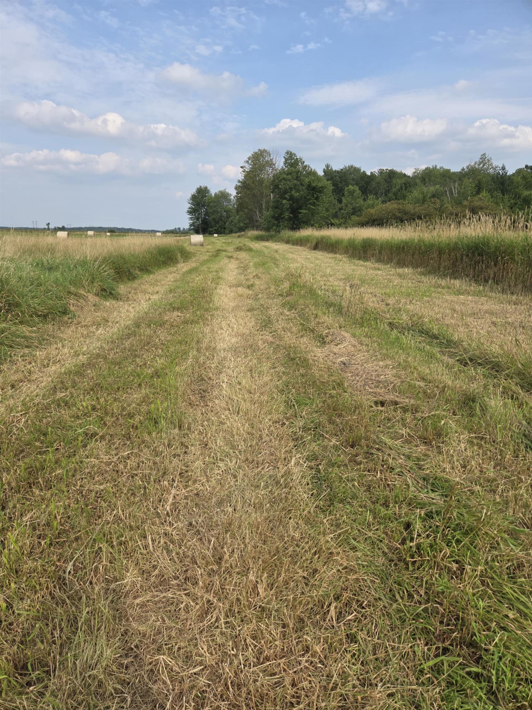 40-acres County Road South Rudolph, WI 54475 - Photo 21 of 21 Gallery Image 21