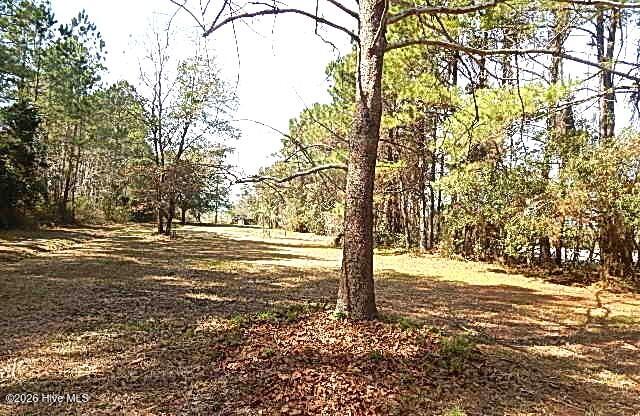 515 Tuttles Grove Road Beaufort, NC 28516 - Photo 4 of 10 4