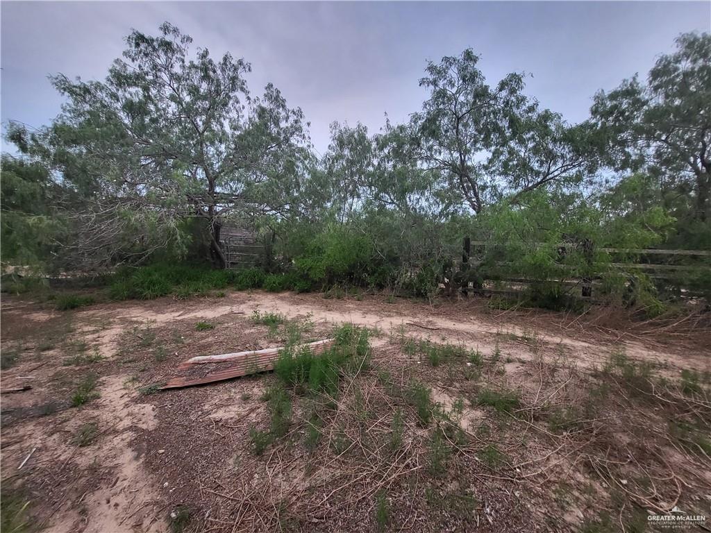 24590 Uncle Peter's Road Lyford, TX 78569 - Photo 12 of 14 a backyard of a house with lots of green space