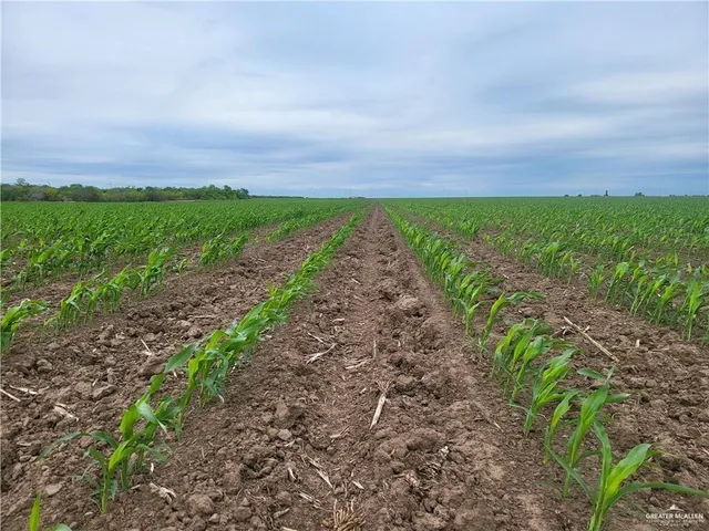a view of a pathway with a big yard