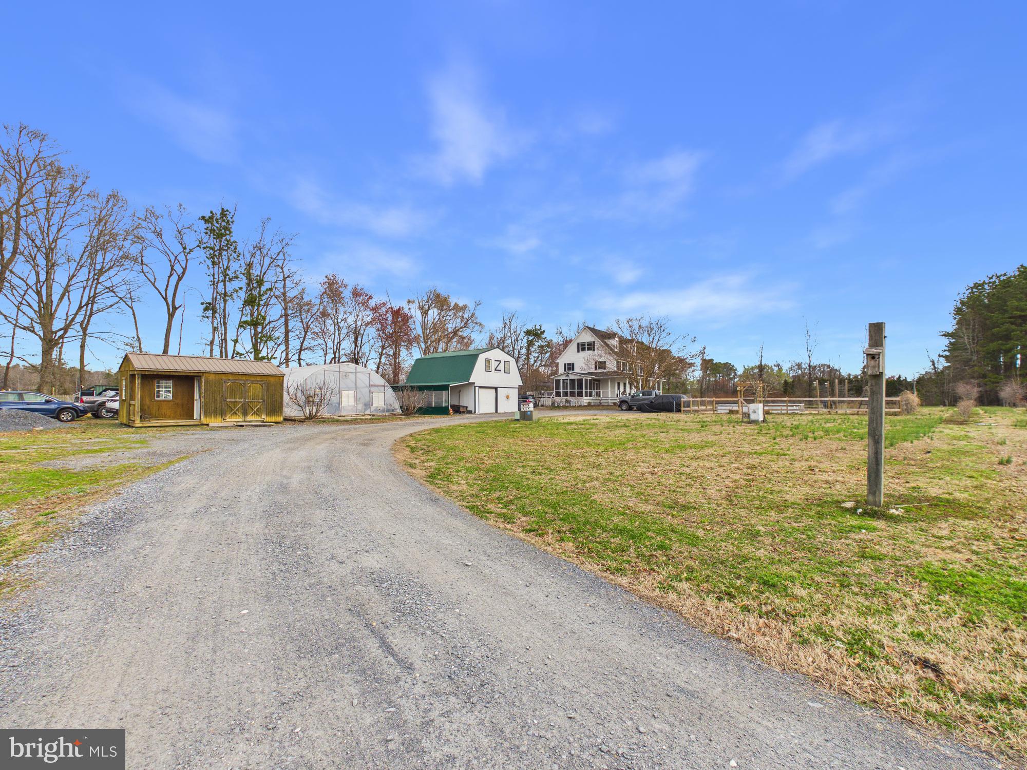 8416 Harmony Road Denton, MD 21629 - Photo 86 of 111 Driveway view