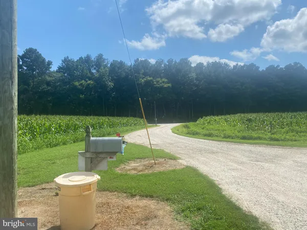 a view of a small yard