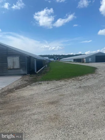 a view of a pathway both side of a house