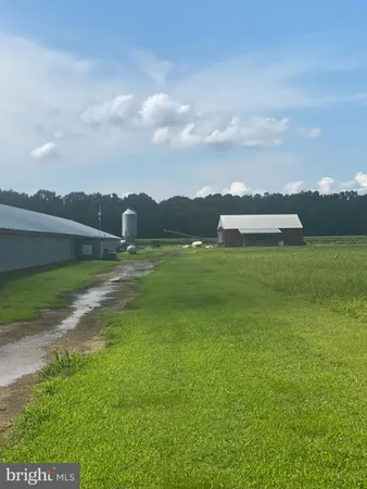 a view of a lake with a mountain