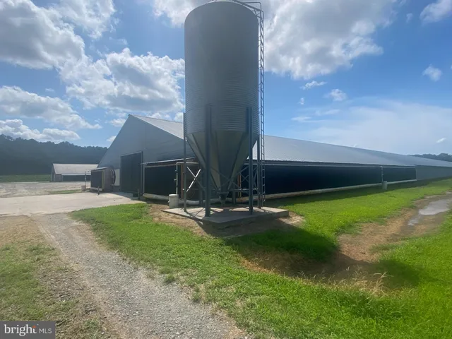 a view of backyard with trampoline