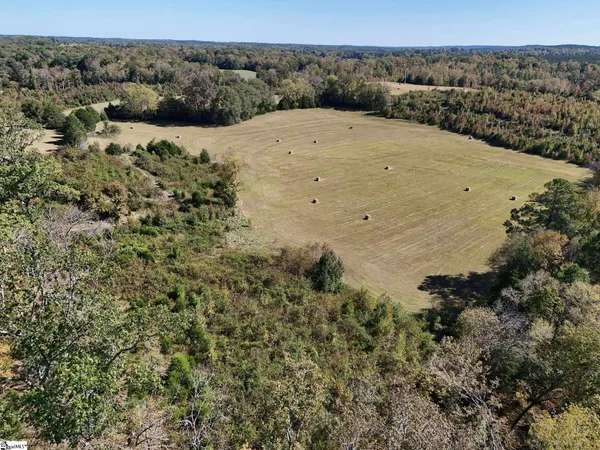 $1,100,000 | 258 Dupree Farm Road, Buffalo, SC 29321