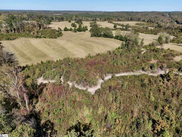 $1,250,000 | 258 Dupree Farm Road, Buffalo, SC 29321