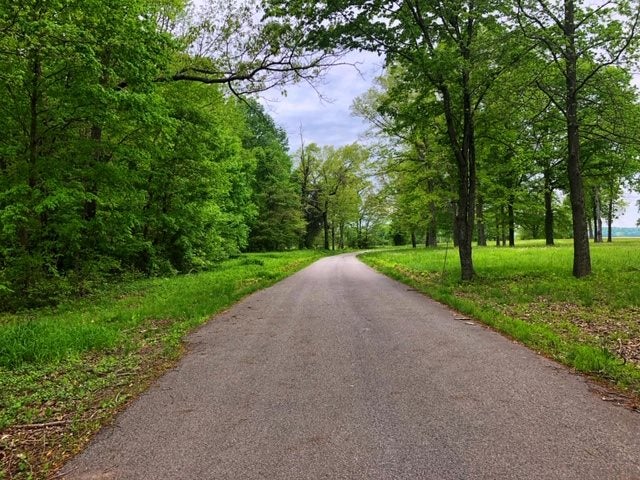 0 Green River Road Rochester, KY 42273 - Photo 21 of 35 Gallery Image 21
