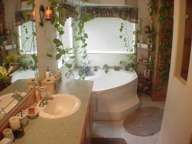 6919 Spring Valley Road Flagstaff, AZ 86018 - Photo 4 of 6 Additional Photo