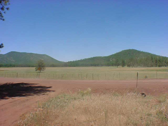 6919 Spring Valley Road Flagstaff, AZ 86018 - Photo 6 of 6 Additional Photo